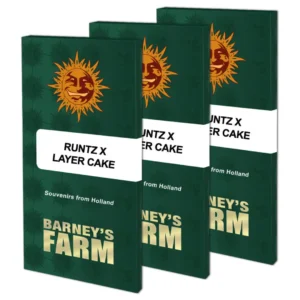 Barneys Farm Runtz x Layer Cake