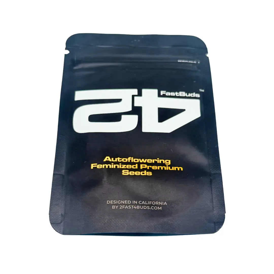 Fast Buds Orange President Auto Verpackung vorne